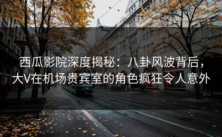 西瓜影院深度揭秘：八卦风波背后，大V在机场贵宾室的角色疯狂令人意外