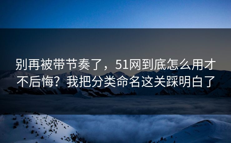 别再被带节奏了,51网到底怎么用才不后悔?我把分类命名这关踩明白了 别再被带节奏了,51网到底怎么用才不后悔?我把分类命名这关踩明白了