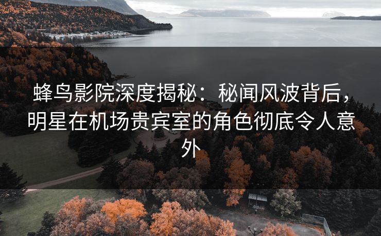 蜂鸟影院深度揭秘：秘闻风波背后，明星在机场贵宾室的角色彻底令人意外
